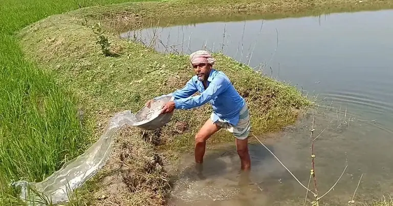 জমিতে পানি দিচ্ছেন কৃষক